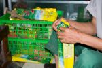 Chè Thái Nguyên giá sỉ từ 5kg, Tuyển đại lý bán lẻ toàn quốc - Ảnh 4